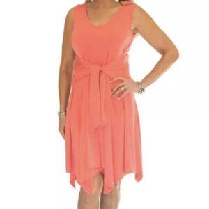 NEW Artizan by Robin Barre Coral Asymmetrical Dress Size Large bin 2Q